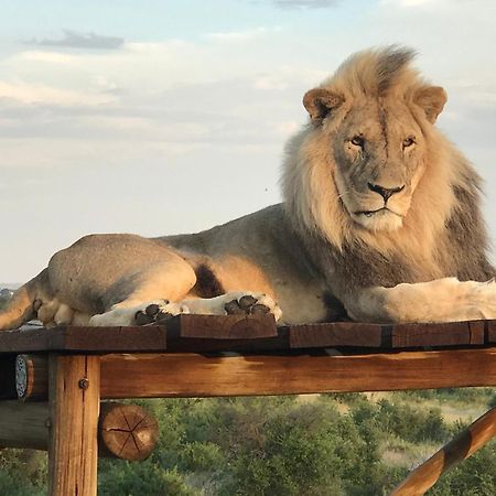 Weltevreden Game Lodge บลูมฟอนเทน ภายนอก รูปภาพ