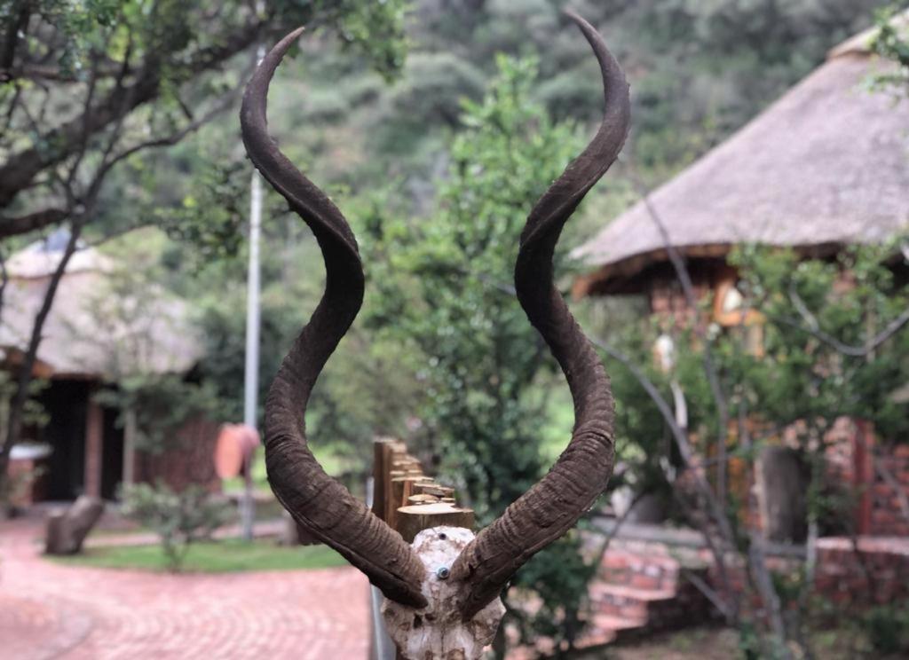 Weltevreden Game Lodge บลูมฟอนเทน ภายนอก รูปภาพ